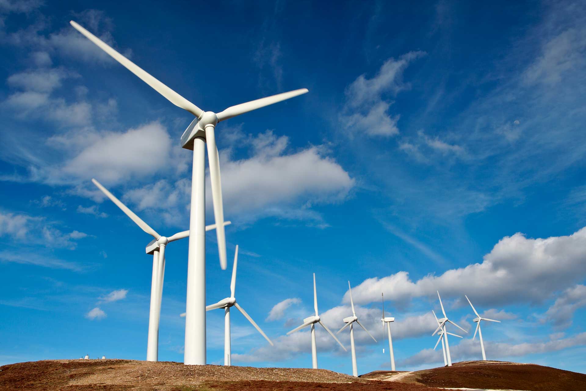 NAN CABLE White Rock Windfarm